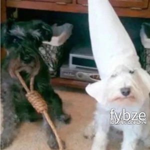 Meet your Posher, Nazaret